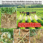 Plant Growth Booster - Soil Nutrient Enhancer for Stronger Roots & Healthier Plants