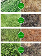 Soil Nutrient Solution - Plant Growth Booster