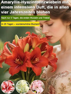 Strongly Fragrant Amaryllis Bulbs - Year-Round Blooming Ornamental Flower Bulbs