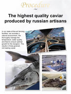 Sturgeon Caviar - Premium Gourmet Luxury Delicacy
