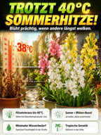 Tuberose Bulbs – Fragrant Flowering Plants