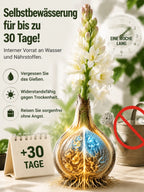 Tuberose Bulbs – Fragrant Flowering Plants