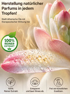 Tuberose Bulbs – Fragrant Flowering Plants