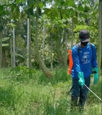 University of Hohenheim Organic Weed Killer - Fast-Acting Weed Control with Long-Lasting Protection (Blue Angel Certified)