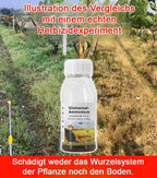 University of Hohenheim Organic Weed Killer - Fast-Acting Weed Control with Long-Lasting Protection (Blue Angel Certified)