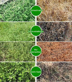 University of Hohenheim Organic Weed Killer - Fast-Acting Weed Control with Long-Lasting Protection (Blue Angel Certified)