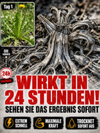 Weed Killer – 3-Hour Root Control