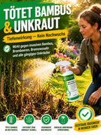 Weed Killer – Fast-Acting Root Control